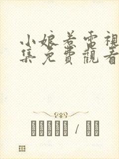 小娘惹电视剧全集免费观看