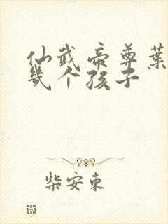 仙武帝尊叶辰有几个孩子