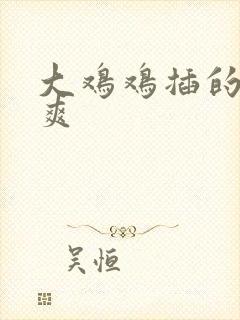 大鸡鸡插的我好爽