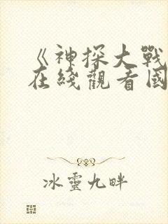 《神探大战2》在线观看国语