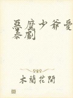 恶魔少爷爱上我泰剧