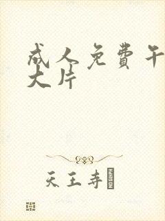 成人免费午夜性大片