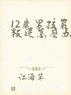 12岁男孩严重叛逆怎么办