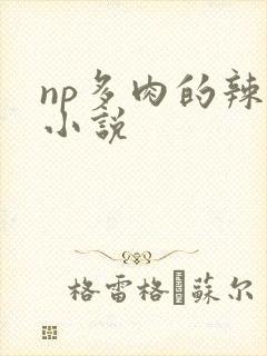 np多肉的辣文小说