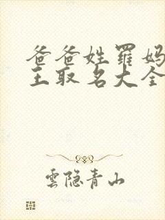 爸爸姓罗妈妈姓王取名大全封面