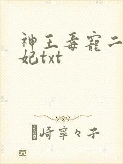 神王毒宠二嫁王妃txt