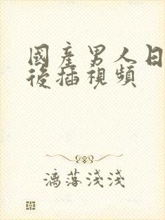 国产男人日女人后插视频