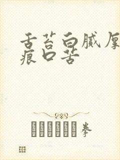 舌苔白腻厚有齿痕口苦