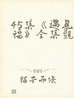 45集《遇见幸福》全集观看免费高清