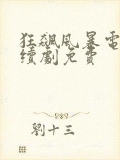 狂飙风暴电视连续剧免费