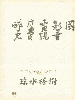 醉鹰电影国语版免费观看