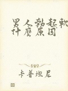 男人勃起软得快什么原因封面