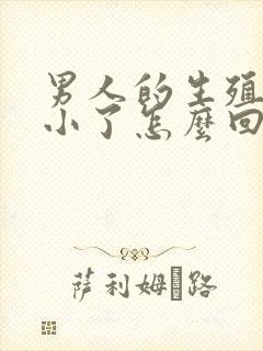 男人的生殖器变小了怎么回事