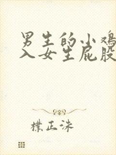 男生的小鸡鸡插入女生屁股里视频