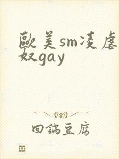 欧美sm凌虐男奴gay