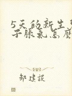 5天的新生儿肚子胀气怎么办封面