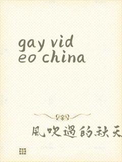 gay video china