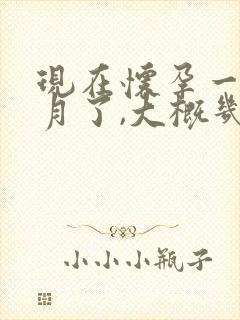 现在怀孕一个多月了,大概几月份生