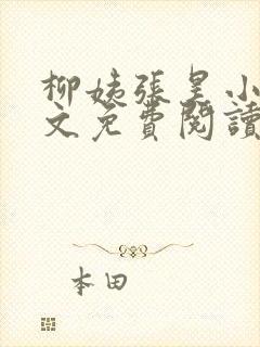 柳姨张昊小说全文免费阅读