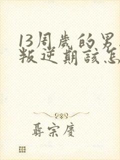 13周岁的男孩叛逆期该怎么办