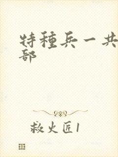 特种兵一共有几部封面