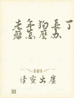 老年狗长了乳房瘤怎么办