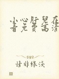小心肝儿在线观看免费高清原声