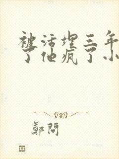 被活埋三年我死了他疯了小说封面