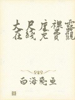 大尺度裸露视频在线免费观看