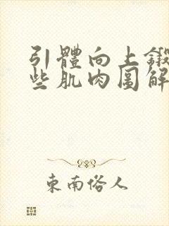 引体向上锻炼哪些肌肉图解