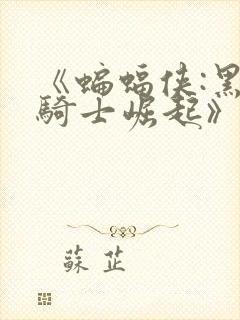 《蝙蝠侠:黑暗骑士崛起》