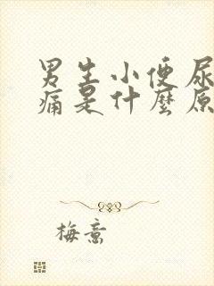 男生小便尿道刺痛是什么原因