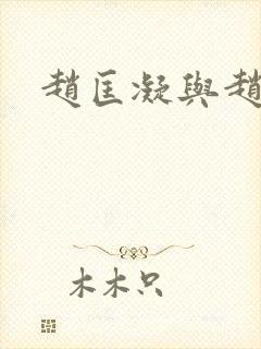 赵匡凝与赵匡胤封面