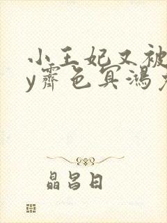 小王妃又被揍by霁色冥鸿免费阅读