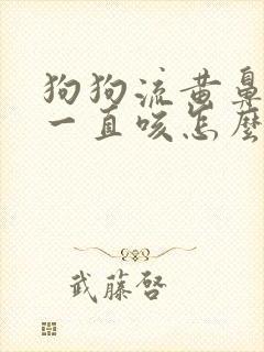 狗狗流黄鼻涕了一直咳怎么办