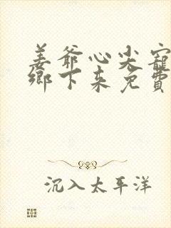 姜爷心尖宠她从乡下来免费