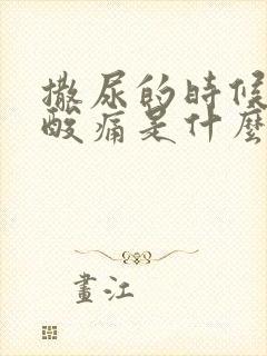 撒尿的时候尿道酸痛是什么原因