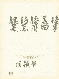 腿的膝盖后面疼是怎么回事