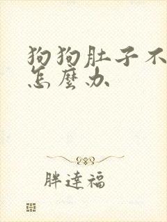 狗狗肚子不舒服怎么办