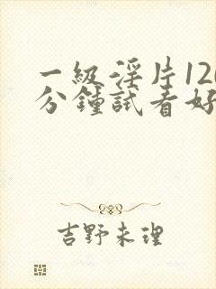 一级淫片120分钟试看好