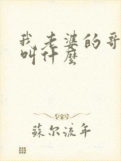 我老婆的哥哥我叫什么