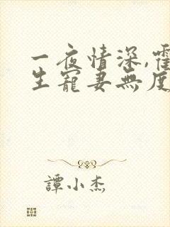 一夜情深,霍先生宠妻无度听书