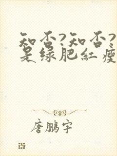 知否?知否?应是绿肥红瘦(网文版)