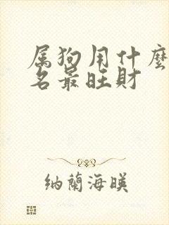 属狗用什么微信名最旺财