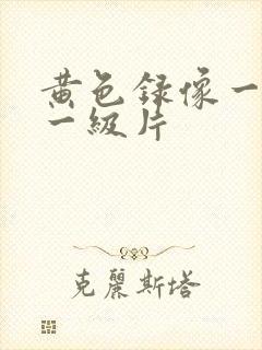 黄色录像一级片一级片封面