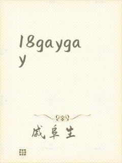 18gaygay