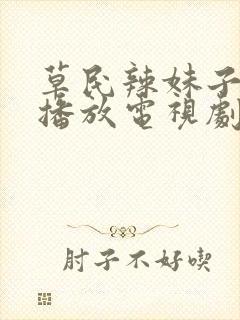 草民辣妹子免费播放电视剧在线观看