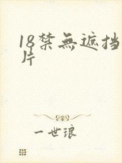 18禁无遮挡毛片