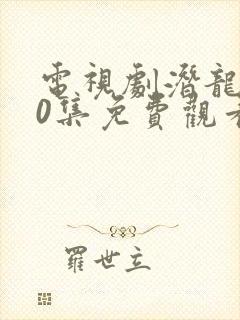 电视剧潜龙道40集免费观看