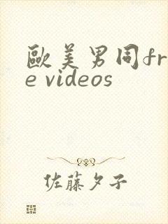 欧美男同free videos
